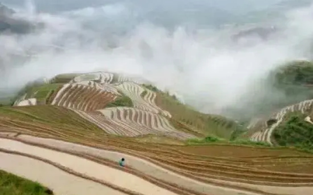 Longji Terrace Chunyuge Inn