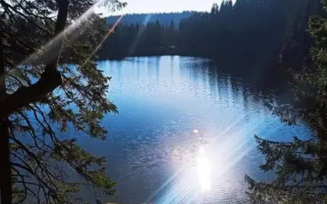 Au grand air