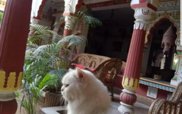 Sureli Haveli