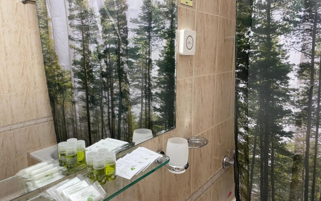 Private Apartment Laplandia 77 (Pamporovo, Bulgaria)