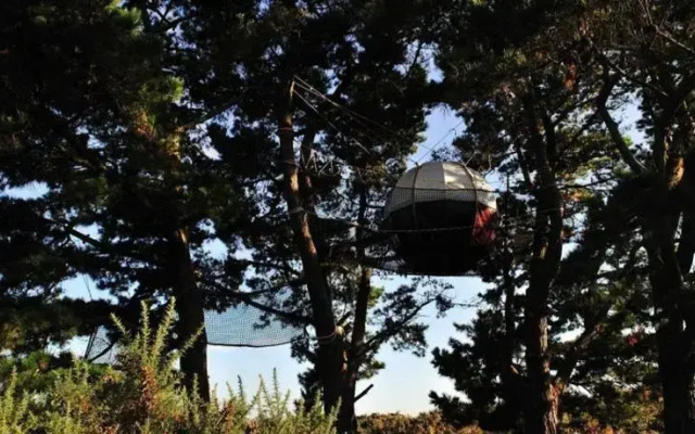 Les Nids du Parcabout