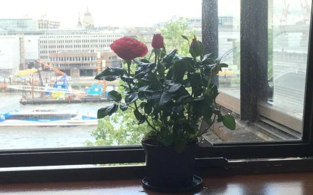 Room in Central London Overview Thames
