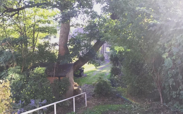 Ash Cottage