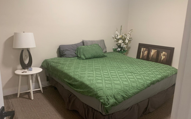 Renovated 2 Bedroom Apt Central Hamilton