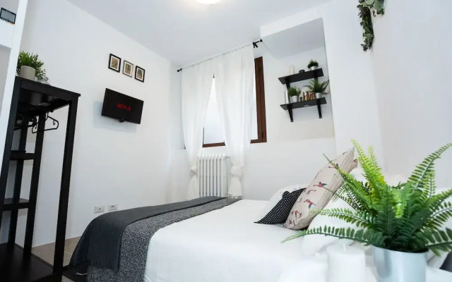 Home Hotel - Paruta 65
