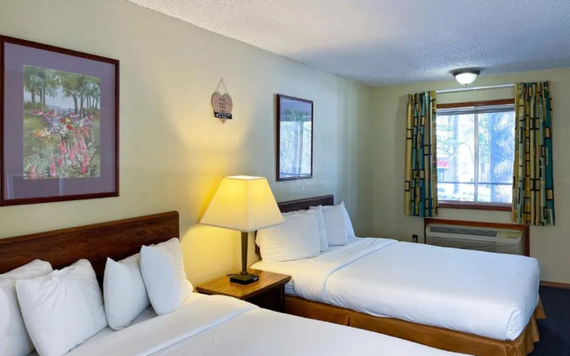 Forest Springs Resort