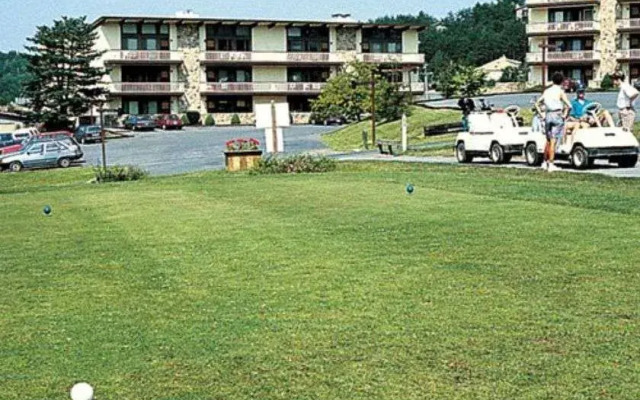 The Pines