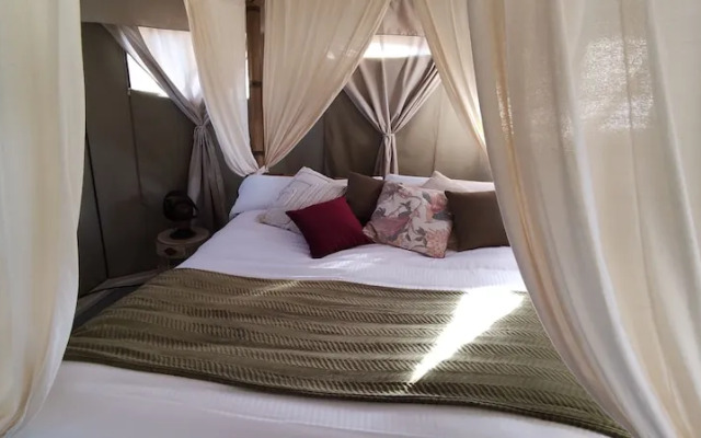 El Toril Glamping Experience