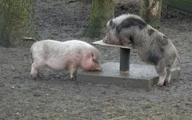 Naturistenpark Flevo-Natuur