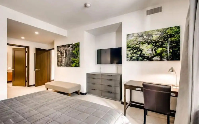 Vail Lion 2 Bedroom Mountain Vacation Rental Just Steps From the Eagle Bahn Gondola