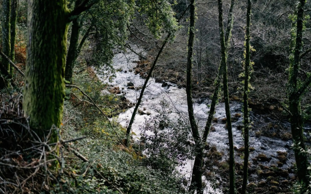 The VALLEY
