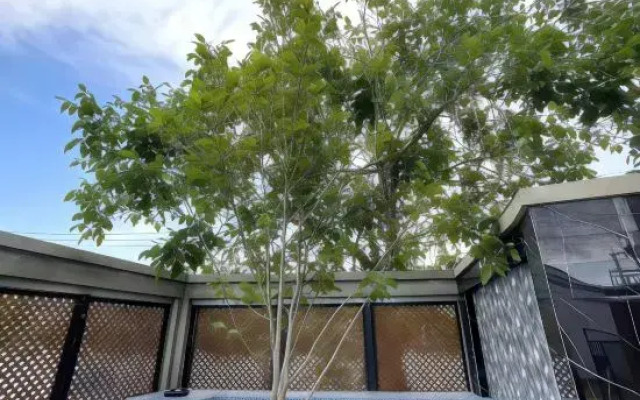 Shuianxiangju Boutique Homestay