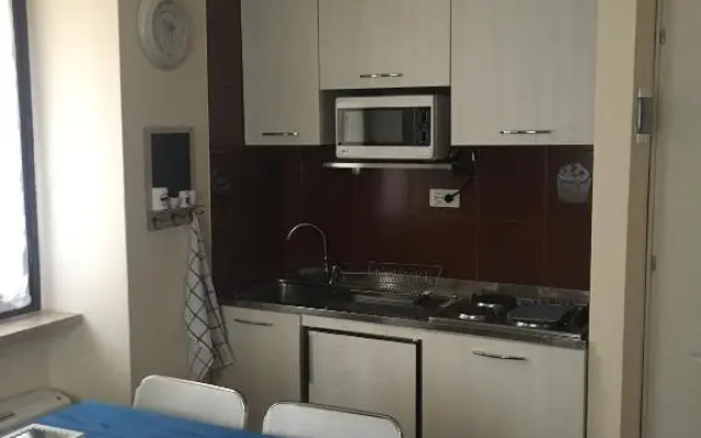 VICOLOVOLTA16