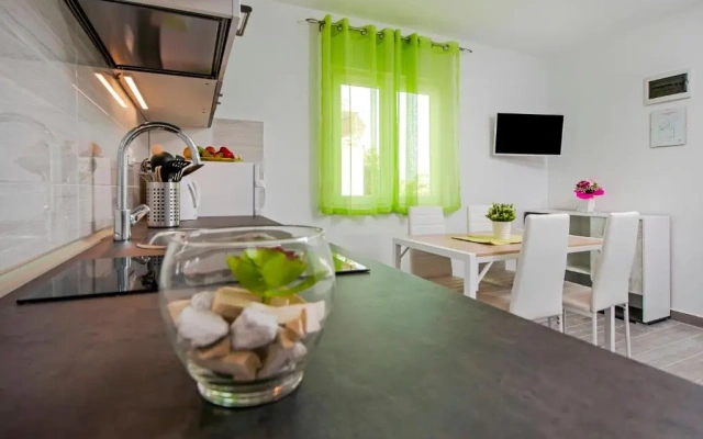 Apartment and Studio Tereza