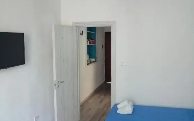 Newhouse 336