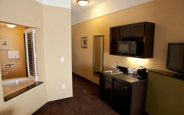 Holiday Inn Express Hotel & Suites Lansing-Dimondale by IHG