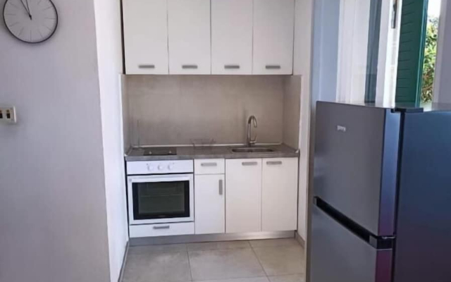 House Vlasta