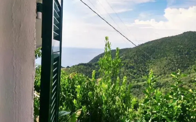 Villa Palima