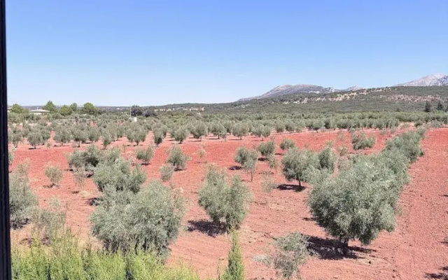La Guzmana de Ronda