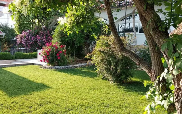 Apartments Sorić