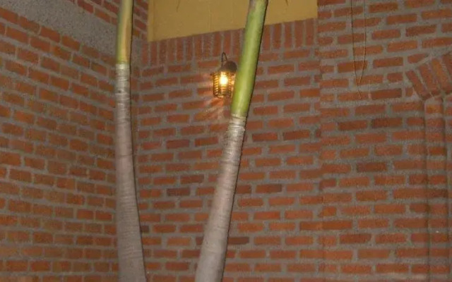 Hotel San Diego Inc. Valledupar