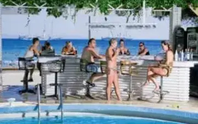Orion Didim