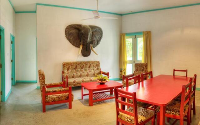 Отель Tsulu Bunk House Фиджи, Вити-Леву - отзывы, цены и фото номеров - забронировать отель Tsulu Bunk House онлайн комната для гостей