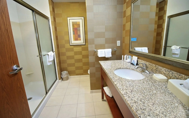 Hampton Inn Detroit/Auburn Hills-North