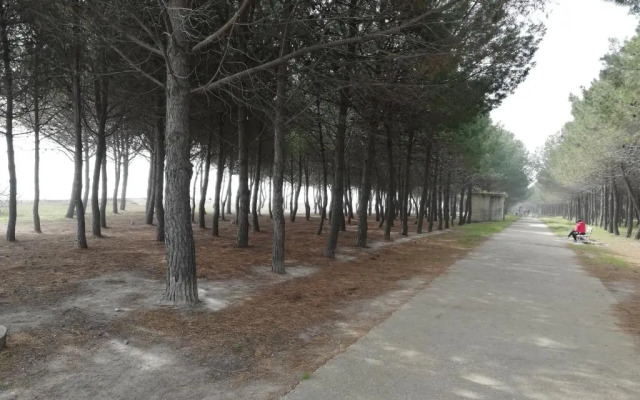 Residence Conchiglia