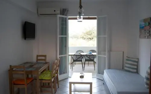 Naxos Olive House