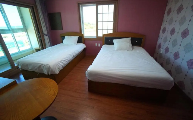 Amor House