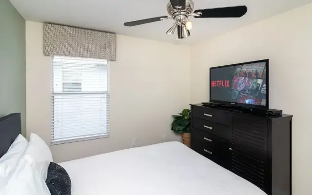 The Cozy Palm
