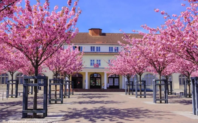Ferienhaus Happytime
