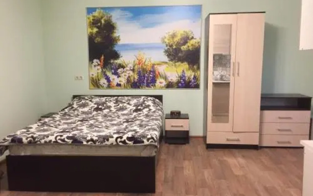 Vidnoye