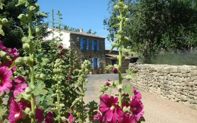 Domaine De Mournac