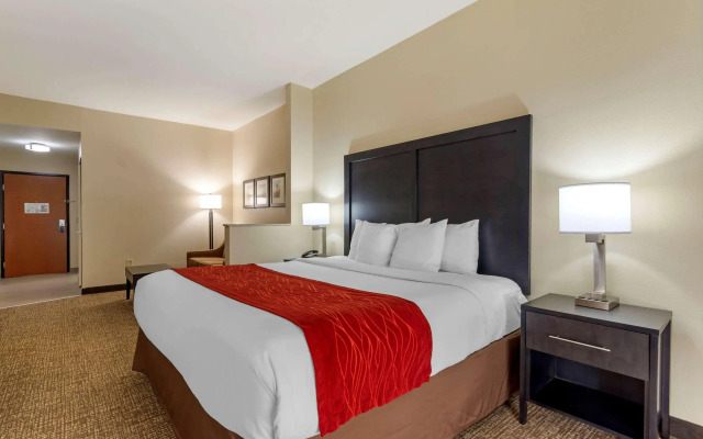 Comfort Inn & Suites Montgomery Eastchase