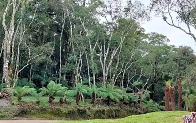 Morada Do Xaxim - Chale Hortencia