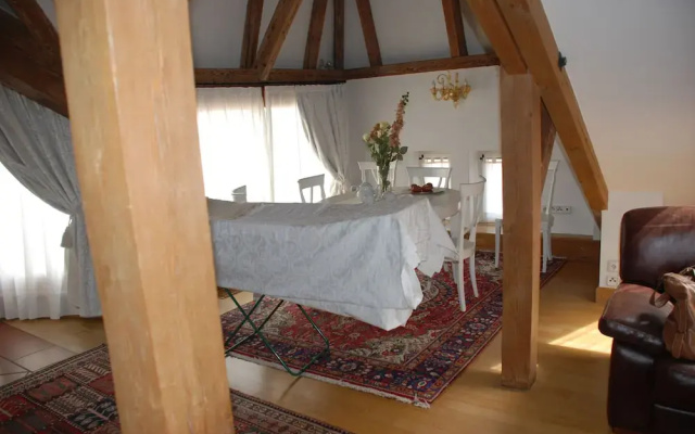 Luxury Apartments Tgm Karlovy Vary