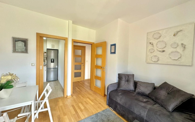 Central apartments Surina