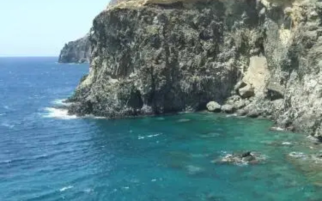 Papuscia