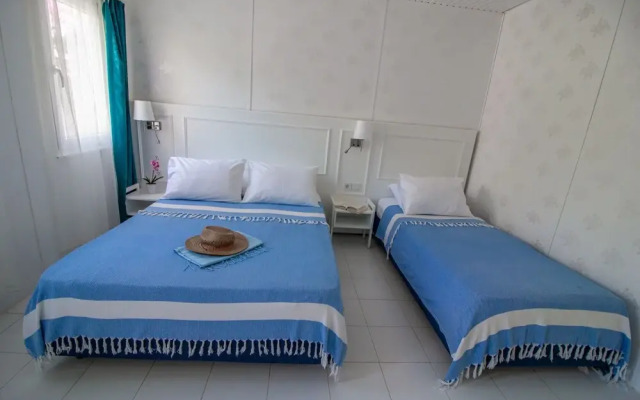 Blue & White Hotel