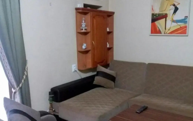 Irina's Apartment