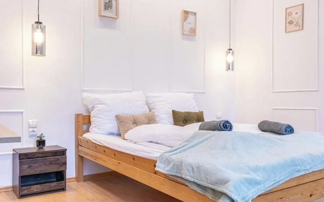 9BR Apts in the Heart of Vienna