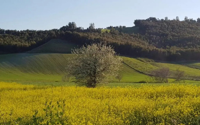 Agriturismo la Mandragola Relais