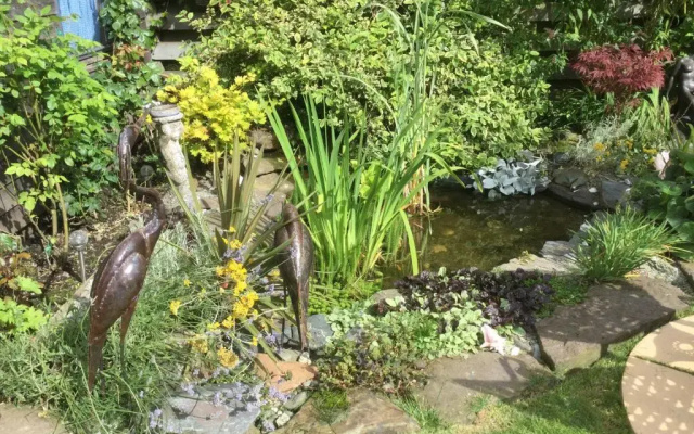 Angel Cottage