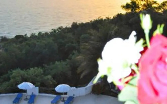 Flat 1 bedroom 1 bathroom - Agios Gordios