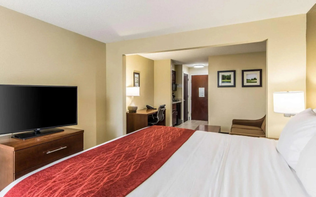 Comfort Inn & Suites Greenwood near University