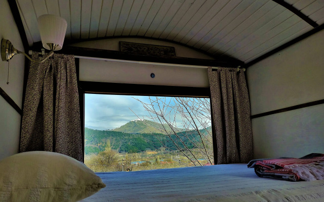 Torrhebia Dag Evi