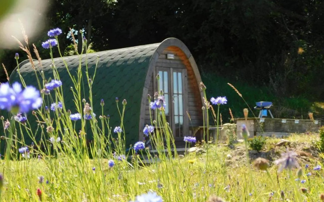 Cosy Pod-cabin Near Beautiful Landscape in Omagh
