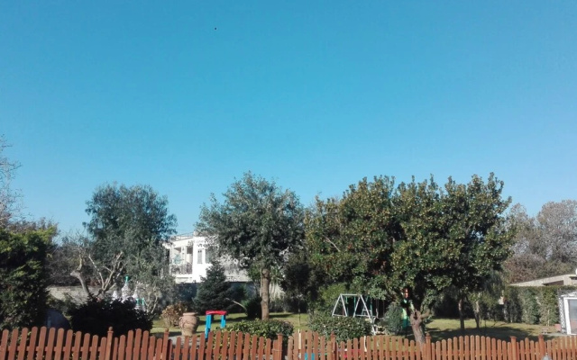 B&B Il Castagnaro